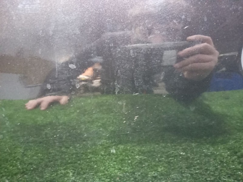 Recambio de porton trasero para alfa romeo 147 (190) 1.9 jtd cat referencia OEM IAM   