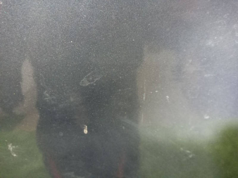 Recambio de capot para volkswagen bora berlina (1j2) highline referencia OEM IAM   