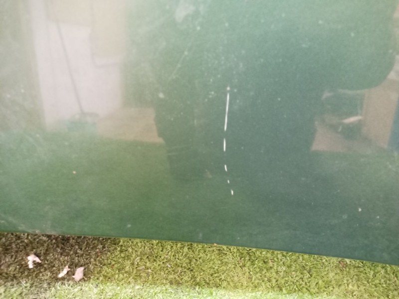 Recambio de capot para nissan x-trail (t30) 2.0 16v cat referencia OEM IAM   