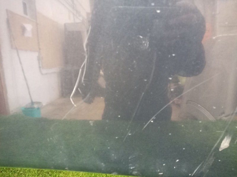 Recambio de capot para citroen xsara picasso 1.8 cat (6fz / ew7j4) referencia OEM IAM   