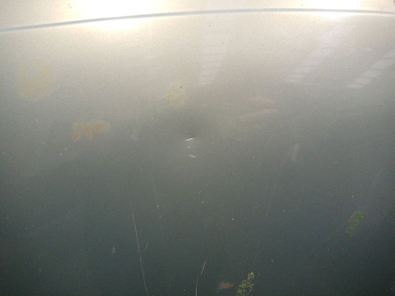 Recambio de capot para renault scenic rx4 (ja0) 2.0 16v sportway referencia OEM IAM   