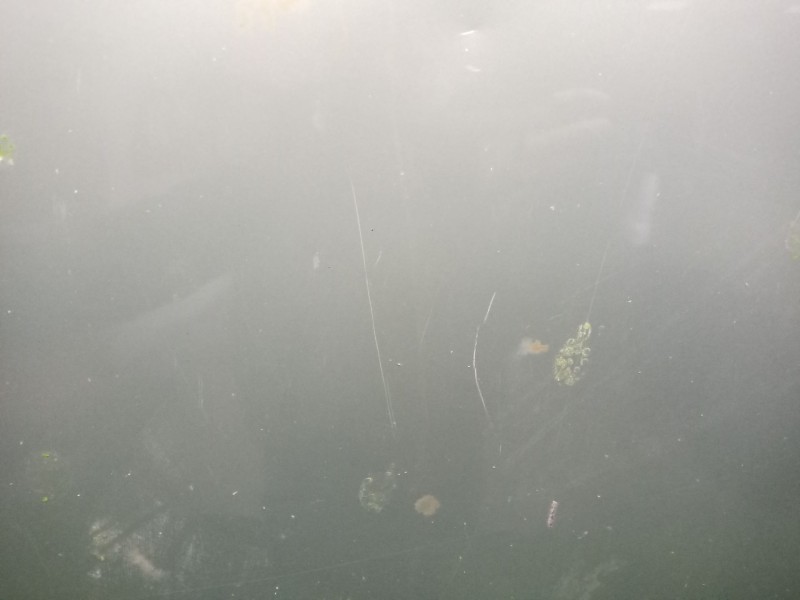 Recambio de capot para renault scenic rx4 (ja0) 2.0 16v sportway referencia OEM IAM   