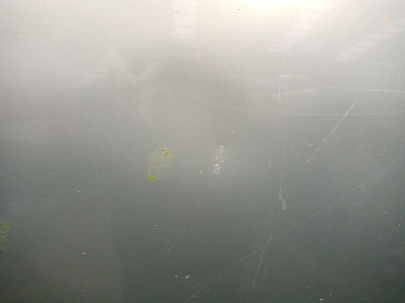 Recambio de capot para renault scenic rx4 (ja0) 2.0 16v sportway referencia OEM IAM   