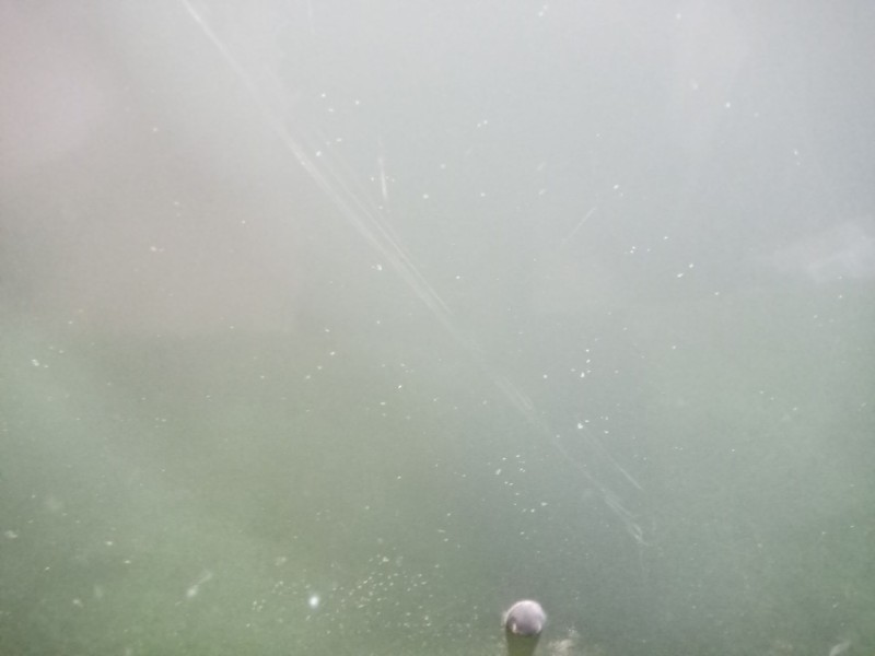 Recambio de capot para renault scenic rx4 (ja0) 2.0 16v sportway referencia OEM IAM   