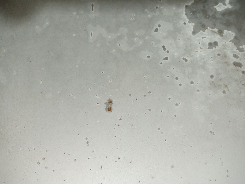 Recambio de capot para honda cr-v (rd1/3) 2.0 16v cat referencia OEM IAM   