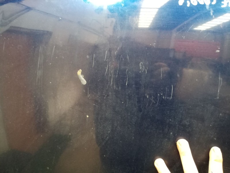 Recambio de capot para volkswagen golf iii cabrio (1e7) 1.9 tdi referencia OEM IAM   