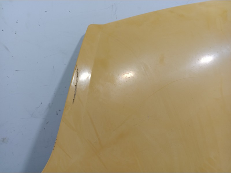 Recambio de capot para renault trafic caja cerrada (ab 4.01) doble cabina l1h1 2,7t referencia OEM IAM   