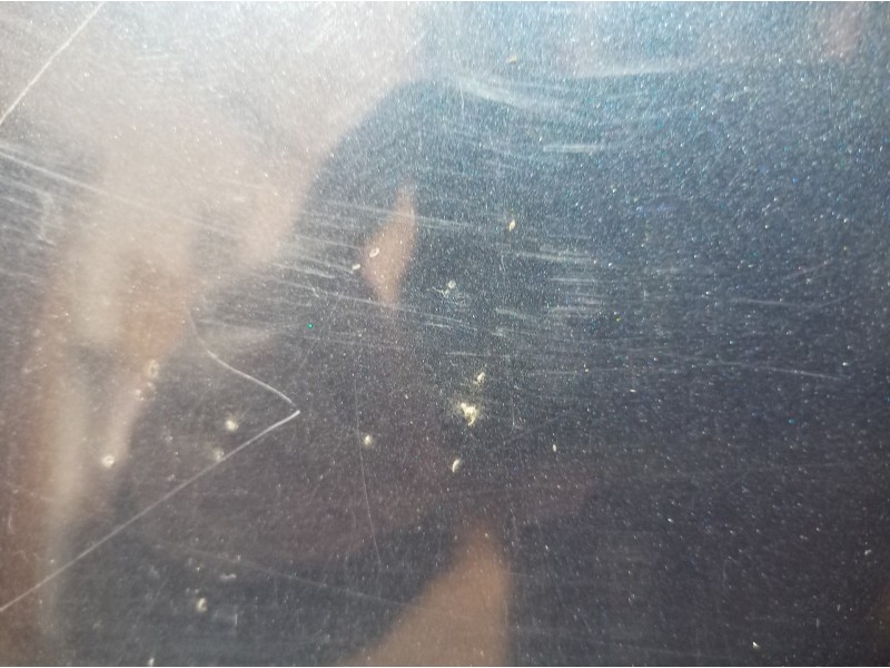 Recambio de puerta delantera izquierda para volkswagen golf v berlina (1k1) trendline referencia OEM IAM   