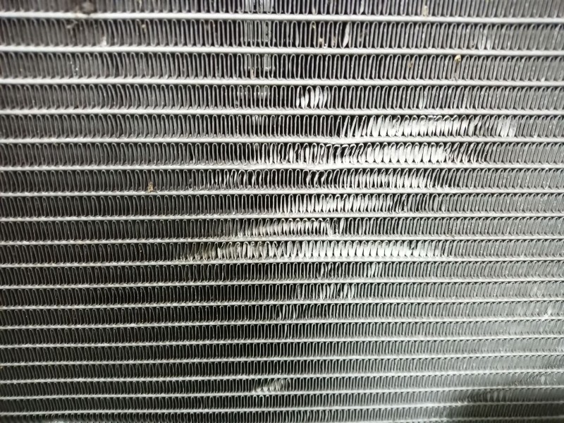 Recambio de radiador agua para renault clio iii 1.2 16v referencia OEM IAM   