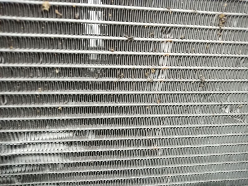 Recambio de radiador agua para renault clio iii 1.2 16v referencia OEM IAM   