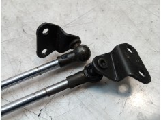 Recambio de amortiguadores maletero / porton para fiat scudo (222) 1.9 td / 2.0 jtd el furg. referencia OEM IAM 1474716080   2