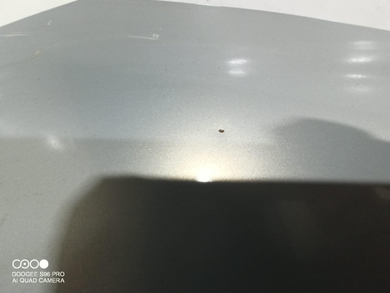 Recambio de capot para renault scenic ii referencia OEM IAM   