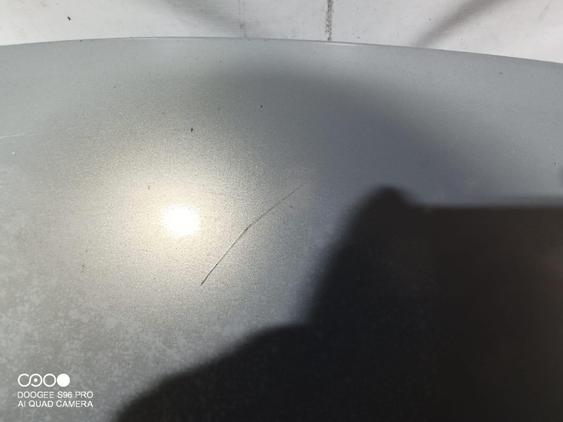 Recambio de capot para renault scenic ii referencia OEM IAM   