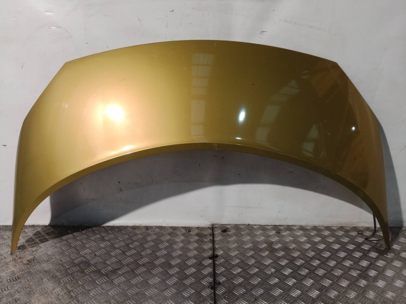 Recambio de capot para renault scenic ii 1.4 16v referencia OEM IAM   