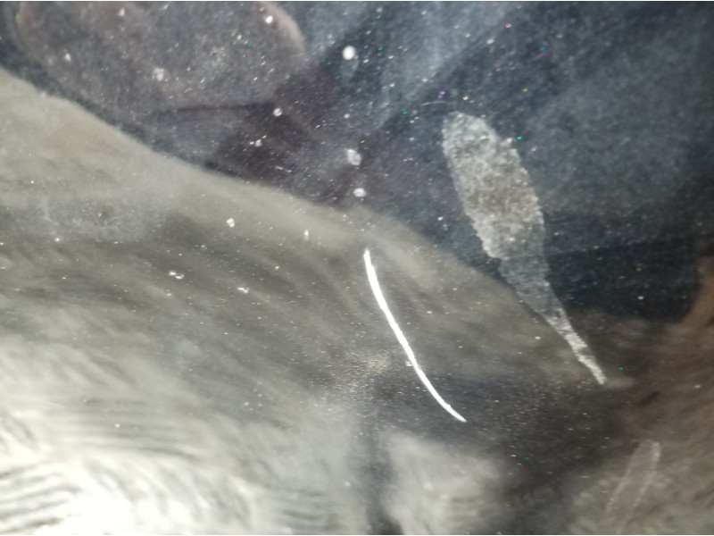 Recambio de puerta trasera izquierda para peugeot 107 básico referencia OEM IAM   