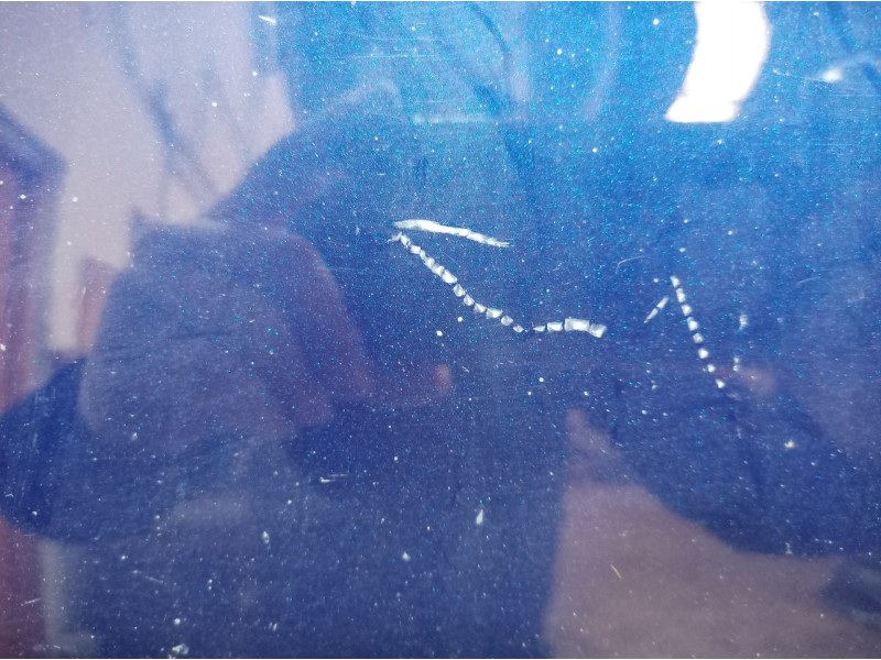 Recambio de puerta delantera derecha para volkswagen passat berlina (3c2) edition referencia OEM IAM   