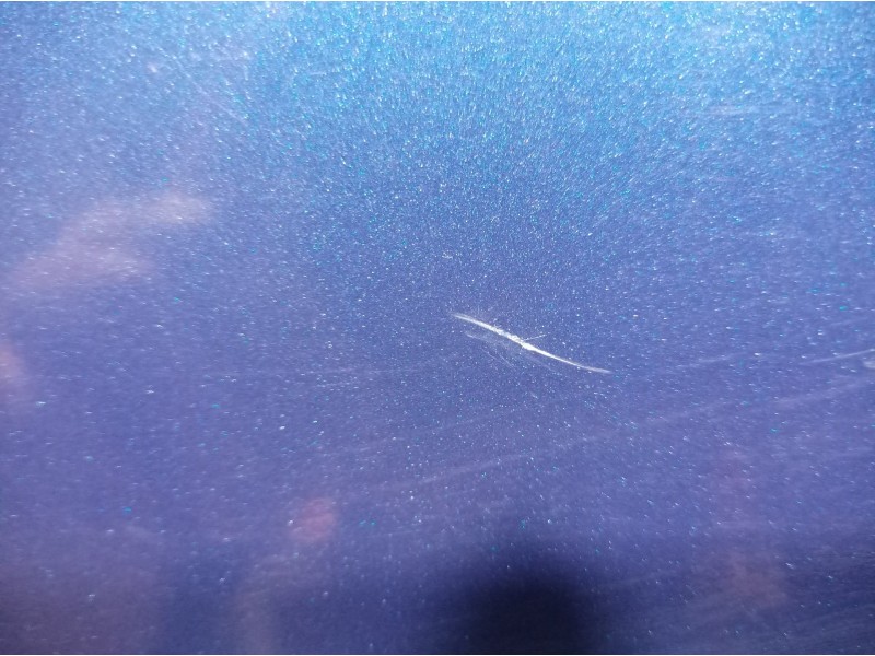 Recambio de puerta trasera derecha para ford focus berlina (cap) ambiente (d) referencia OEM IAM   