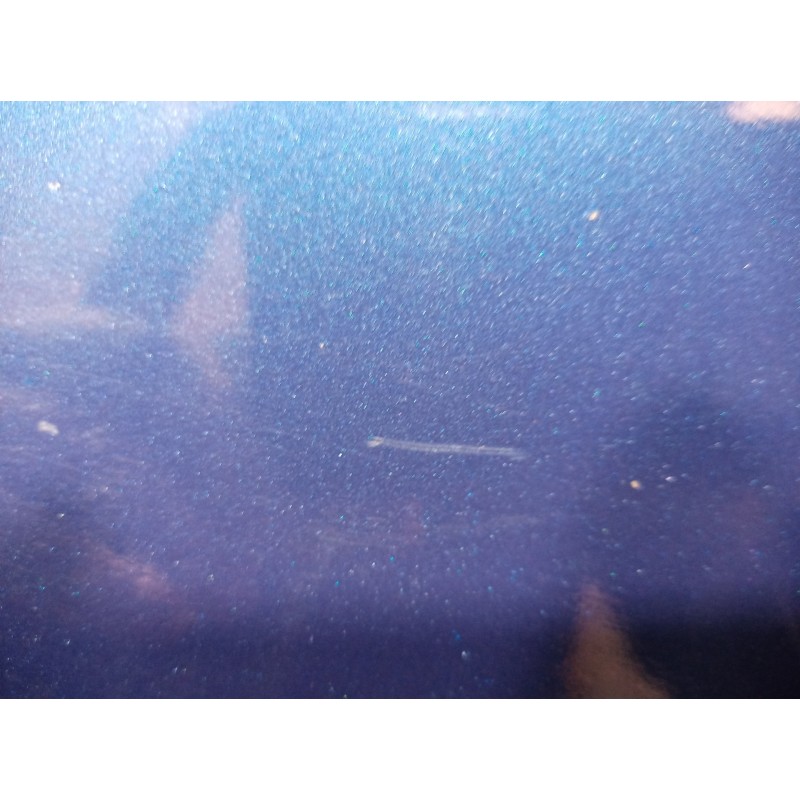 Recambio de puerta trasera izquierda para ford focus berlina (cap) ambiente (d) referencia OEM IAM 1505763 1505763 1505763