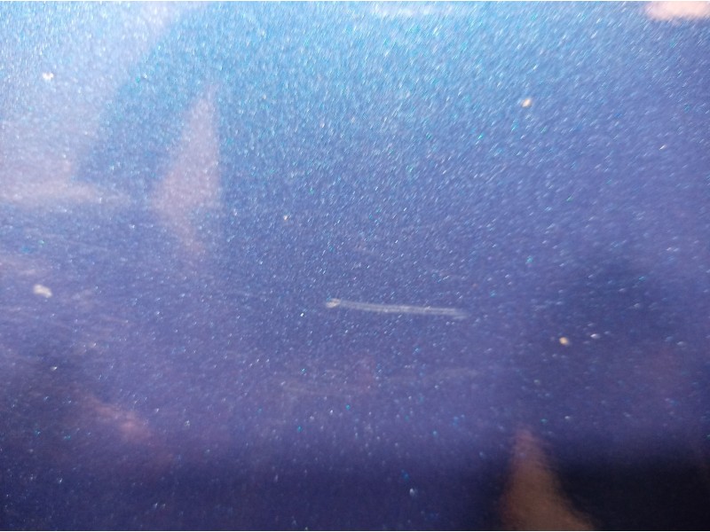 Recambio de puerta trasera izquierda para ford focus berlina (cap) ambiente (d) referencia OEM IAM 1505763 1505763 1505763