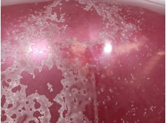 Recambio de capot para renault clio ii fase ii (b/cb0) 1.2 16v referencia OEM IAM 3PUERTAS 3 PUERTAS 3 PUERTAS 2