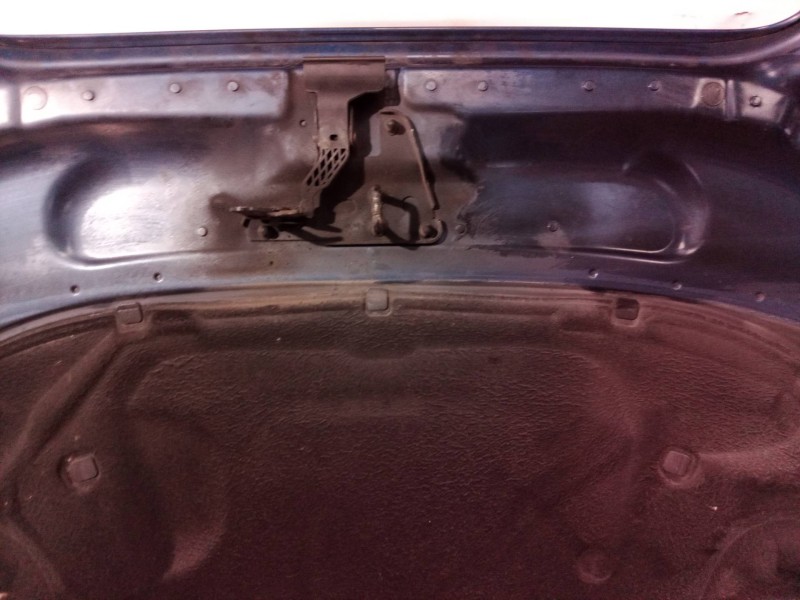 Recambio de capot para audi a6 berlina (4f2) 3.0 tdi quattro (165kw) referencia OEM IAM 4F0823029F  