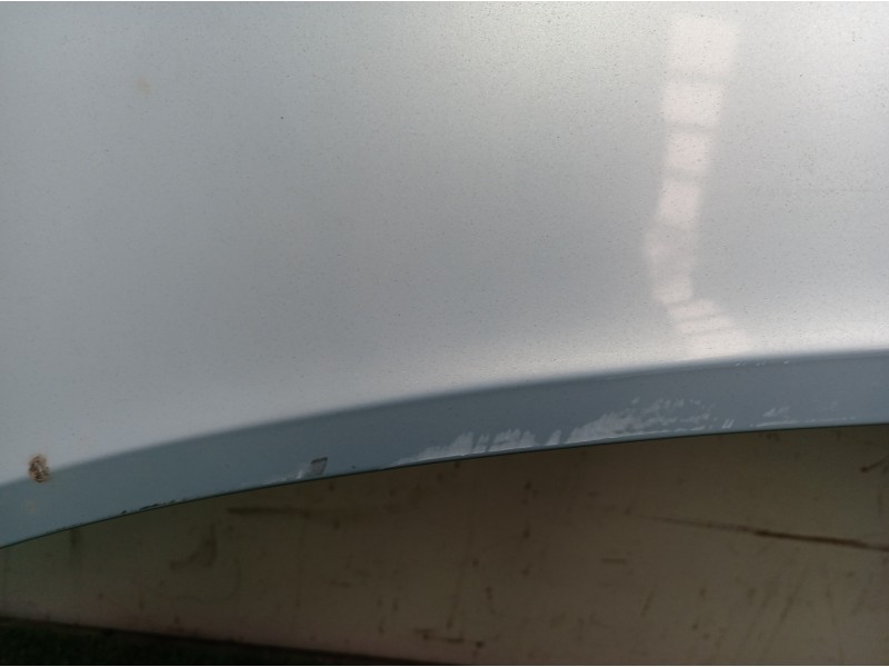 Recambio de capot para renault scenic ii grand confort authentique referencia OEM IAM   