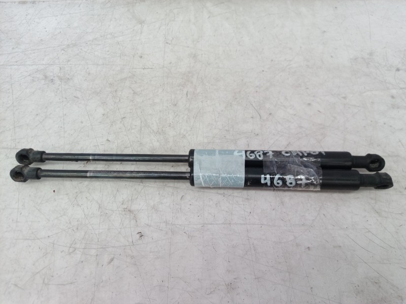 Recambio de amortiguadores maletero / porton para bmw serie 5 berlina (e39) 530d referencia OEM IAM   