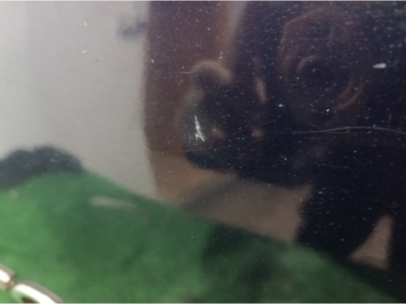 Recambio de porton trasero para ford focus berlina (cap) ambiente (d) referencia OEM IAM   