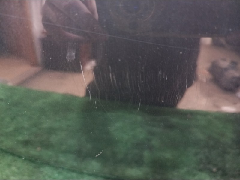 Recambio de porton trasero para volkswagen touareg (7la) tdi v6 referencia OEM IAM   