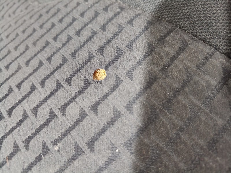 Recambio de juego asientos completo para toyota rav 4 (a3) executive referencia OEM IAM   