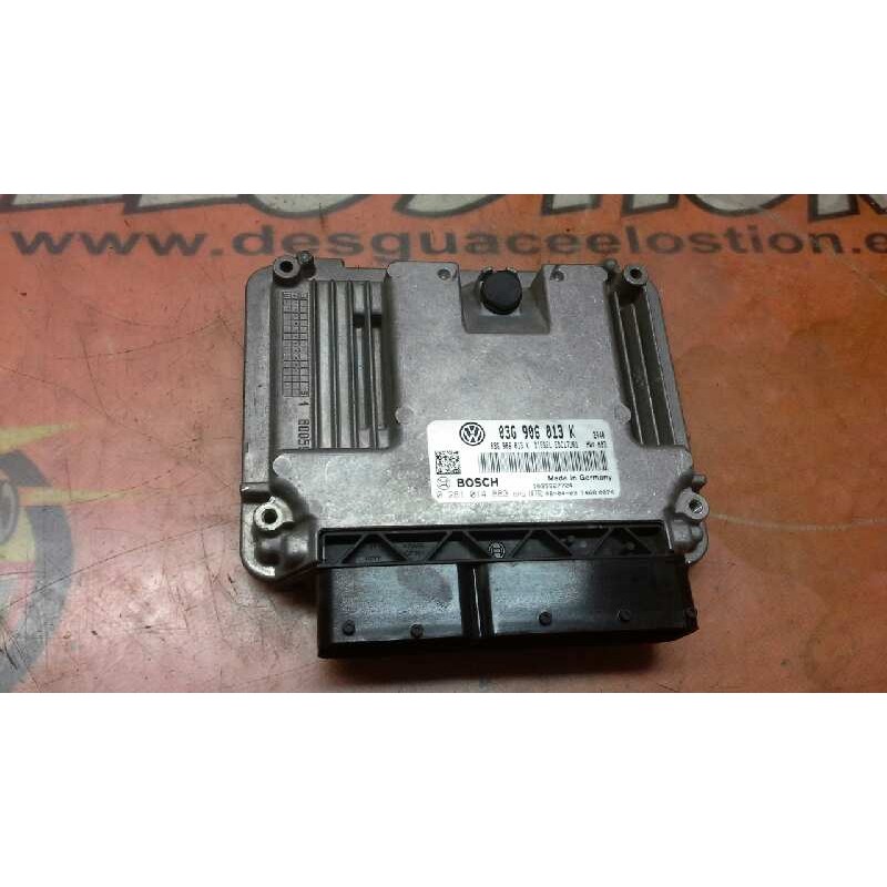 Recambio de centralita motor uce para seat ibiza (6j5) reference referencia OEM IAM 03G906013K 0281014883 03G906013K