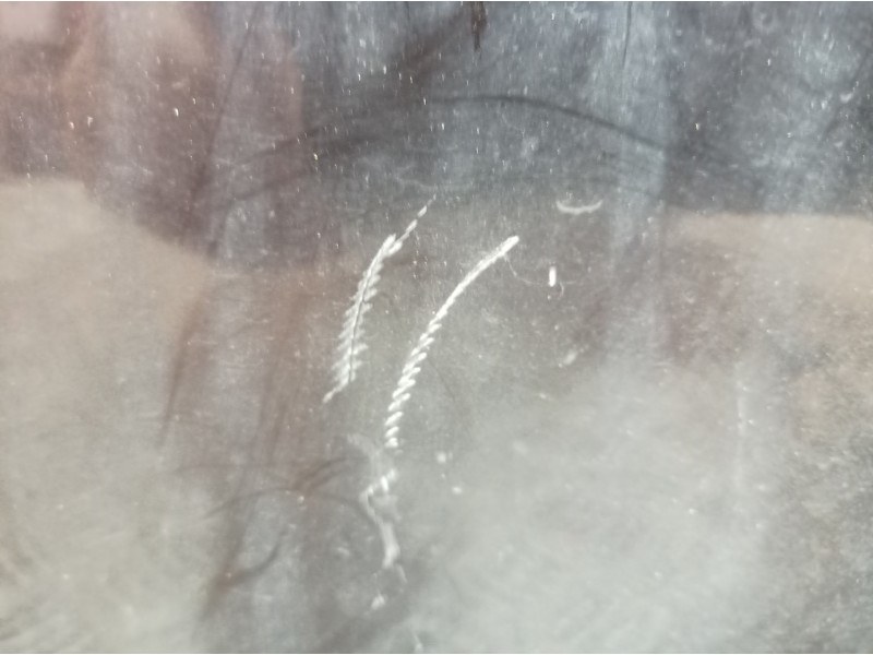 Recambio de puerta trasera izquierda para ssangyong rexton 270 xdi limited referencia OEM IAM   