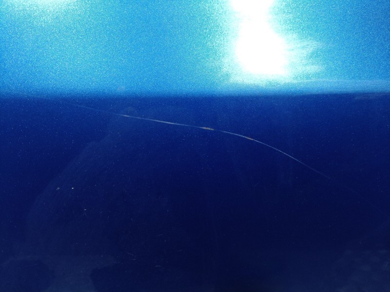 Recambio de puerta trasera izquierda para mazda 2 berlina (dy) referencia OEM IAM   