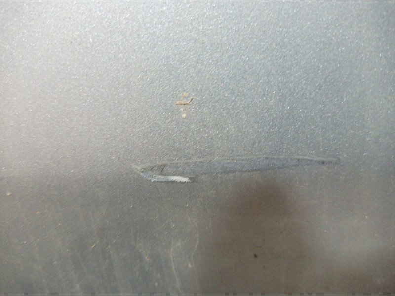 Recambio de puerta trasera derecha para fiat bravo (198) 1.9 active multijet referencia OEM IAM   