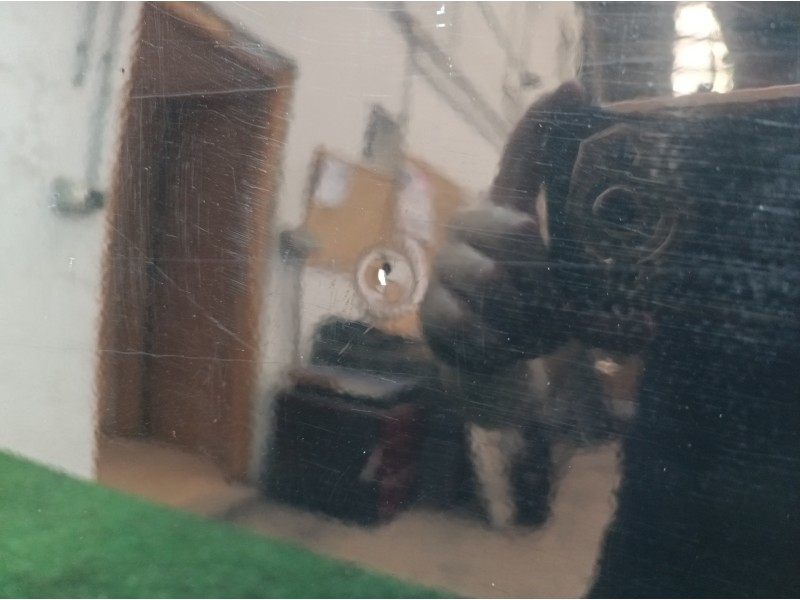 Recambio de puerta delantera izquierda para fiat stilo (192) 1.6 16v dynamic (04.2006) referencia OEM IAM 3PUERTAS 3 PUERTAS 3 P