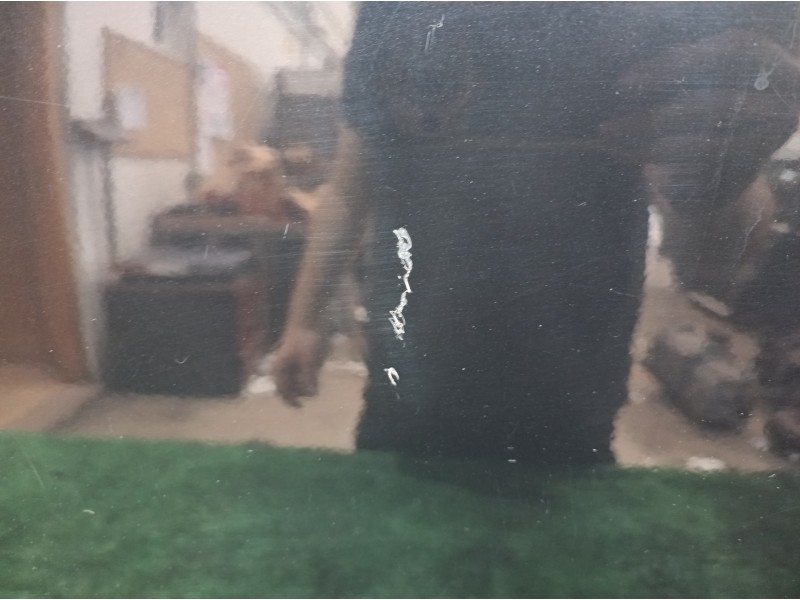 Recambio de puerta delantera izquierda para volkswagen touareg (7la) tdi r5 referencia OEM IAM   