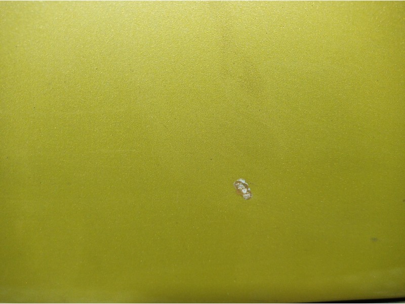 Recambio de porton trasero para citroën c4 picasso millenium referencia OEM IAM   