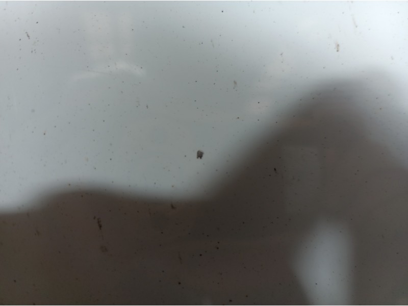 Recambio de capot para fiat grande punto (199) 1.3 16v multijet active (55kw) referencia OEM IAM   