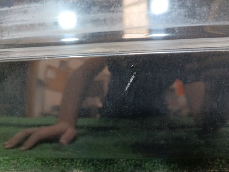 Recambio de porton trasero para citroën c2 audace referencia OEM IAM   