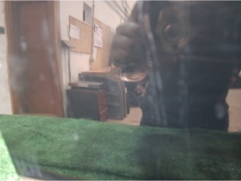 Recambio de puerta delantera derecha para citroën c2 audace referencia OEM IAM   