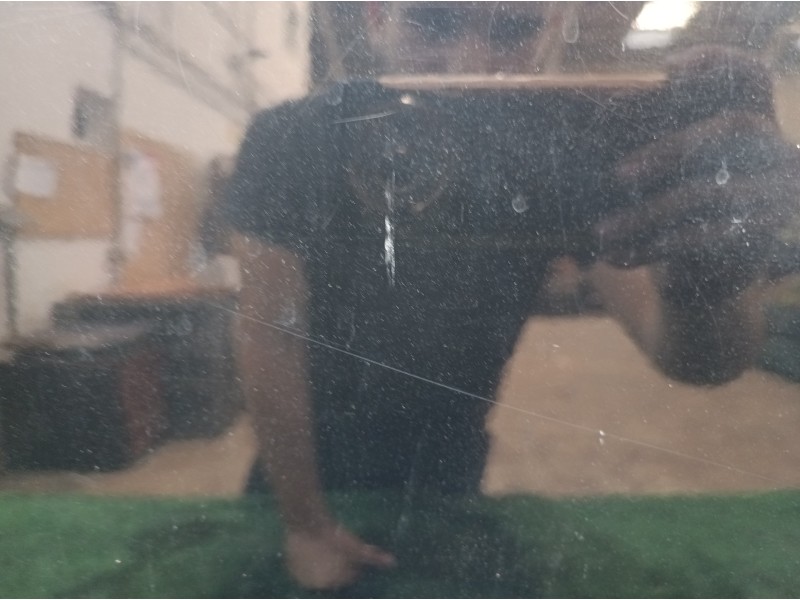 Recambio de puerta delantera izquierda para citroën c2 audace referencia OEM IAM   