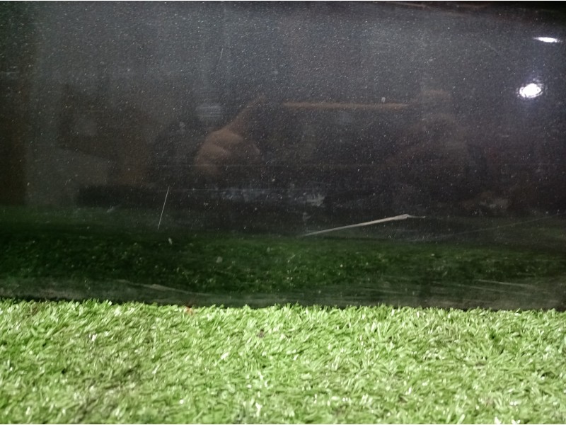 Recambio de puerta delantera derecha para kia cee´d emotion referencia OEM IAM 3PUERTAS 3 PUERTAS 3 PUERTAS