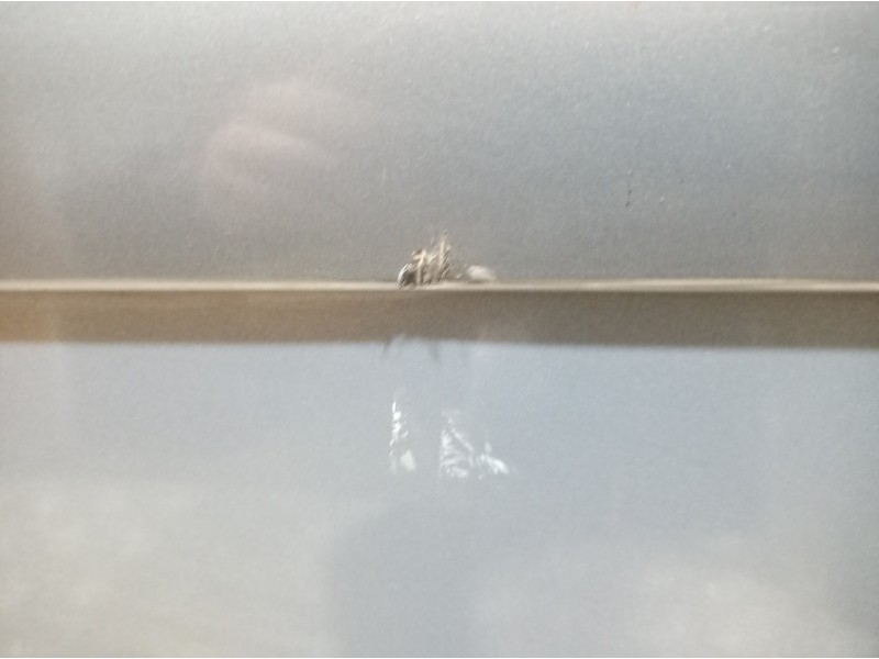 Recambio de puerta delantera izquierda para volkswagen touran (1t1) referencia OEM IAM   