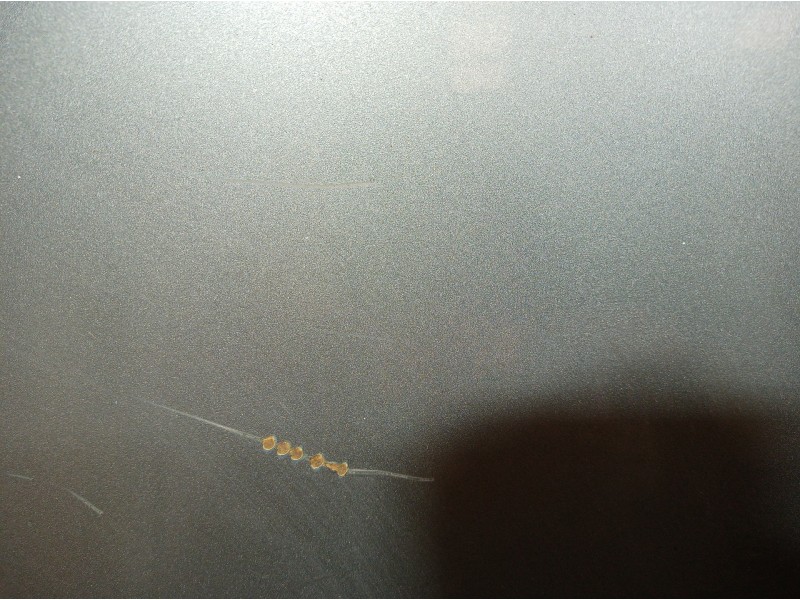 Recambio de capot para lexus ls400 (ucf20) básico (ucf 20) referencia OEM IAM   