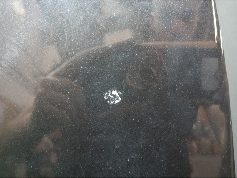 Recambio de capot para renault clio iii 20 aniversario referencia OEM IAM   