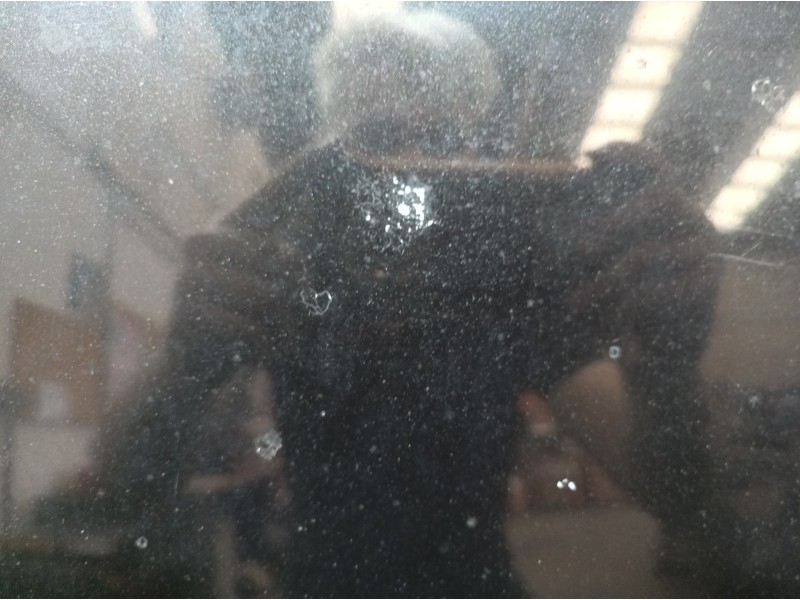 Recambio de capot para renault clio iii 20 aniversario referencia OEM IAM   