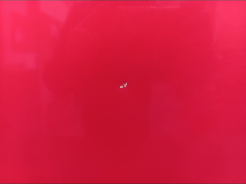 Recambio de capot para opel astra gtc enjoy referencia OEM IAM 3PUERTAS 3 PUERTAS 3 PUERTAS