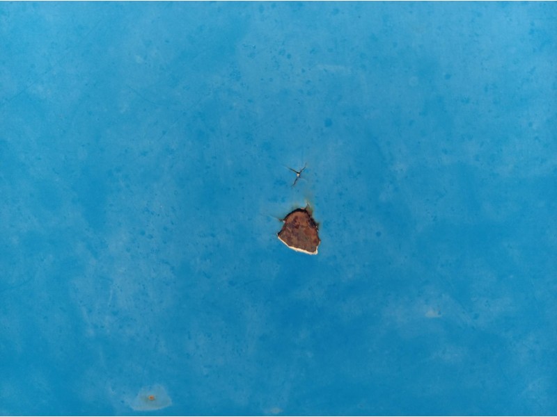 Recambio de capot para ford taunus 1.3 referencia OEM IAM   