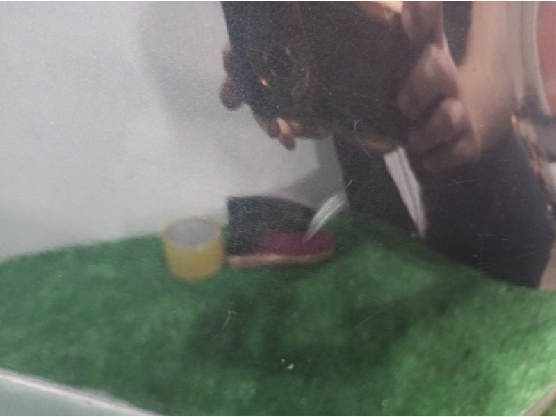 Recambio de paragolpes trasero para volkswagen touareg (7la) referencia OEM IAM 7L6807421 7L6807421 7L6807521D