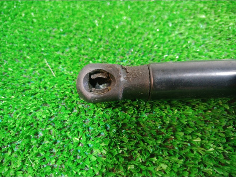 Recambio de amortiguadores capo para volkswagen passat lim. (362) exclusive bluemotion referencia OEM IAM 3AA823359 3AA823359 3A